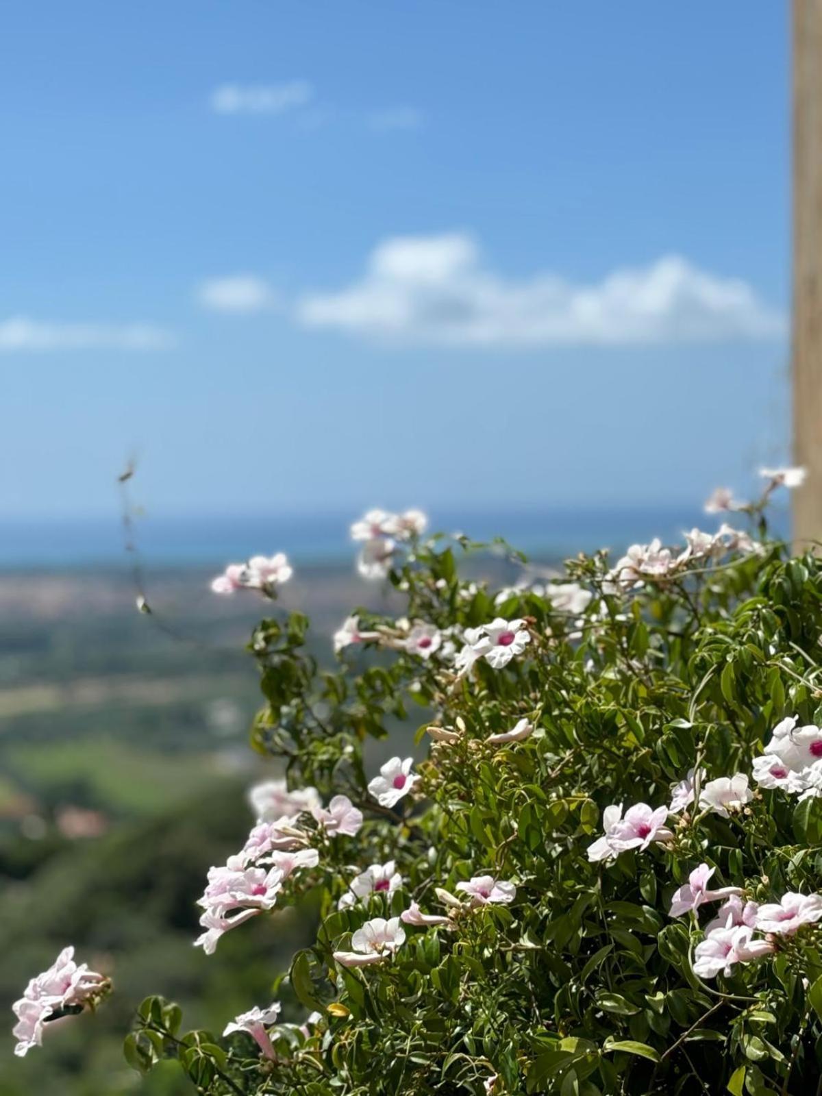 Appartement La Casa Delle Stelle à Tirli Extérieur photo